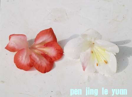 20130606307.jpg