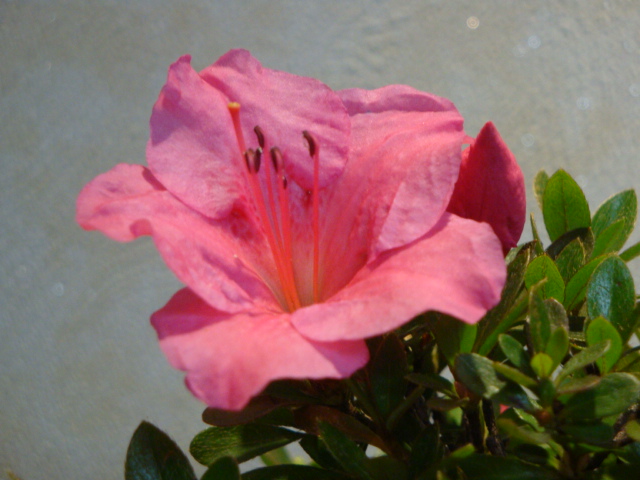 DSC04130.JPG