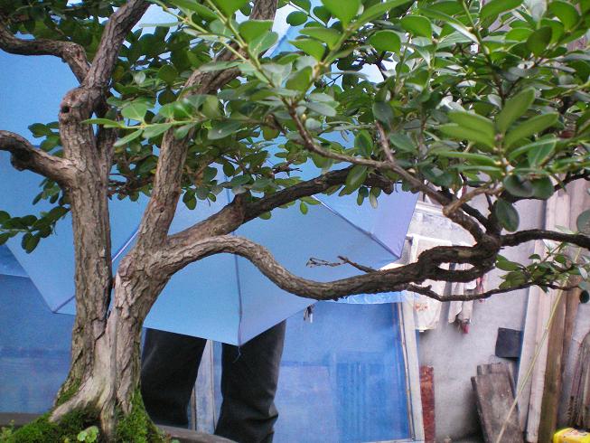 100_0240.JPG