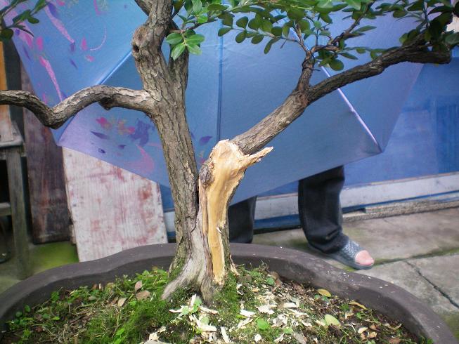 100_0243.JPG
