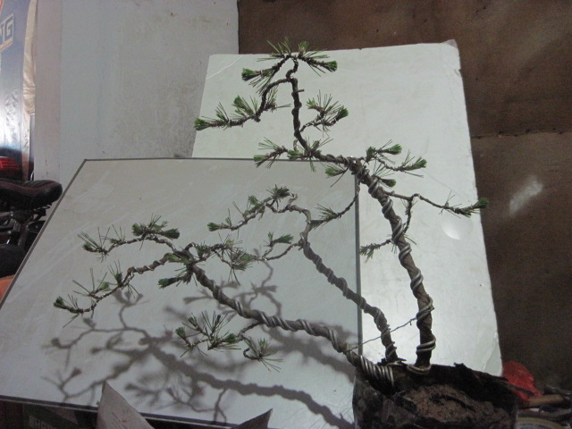 0608���� 002.jpg