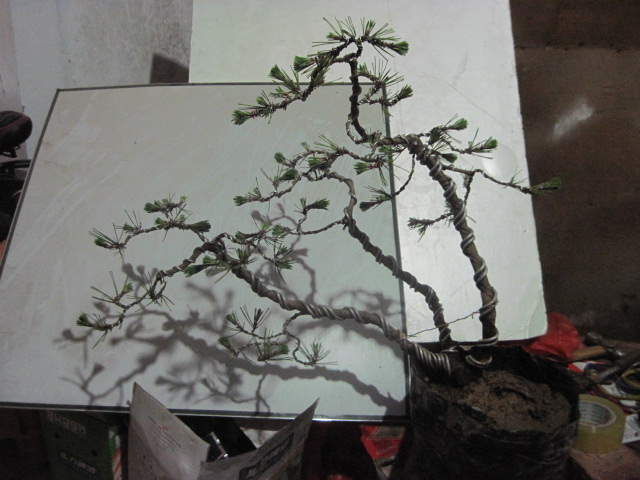 0608���� 003.jpg