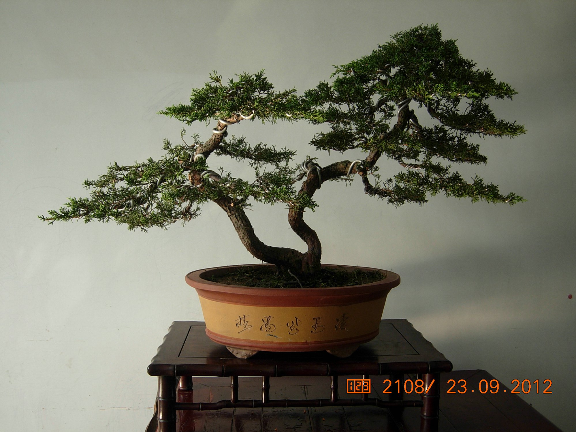 DSCN6337.JPG