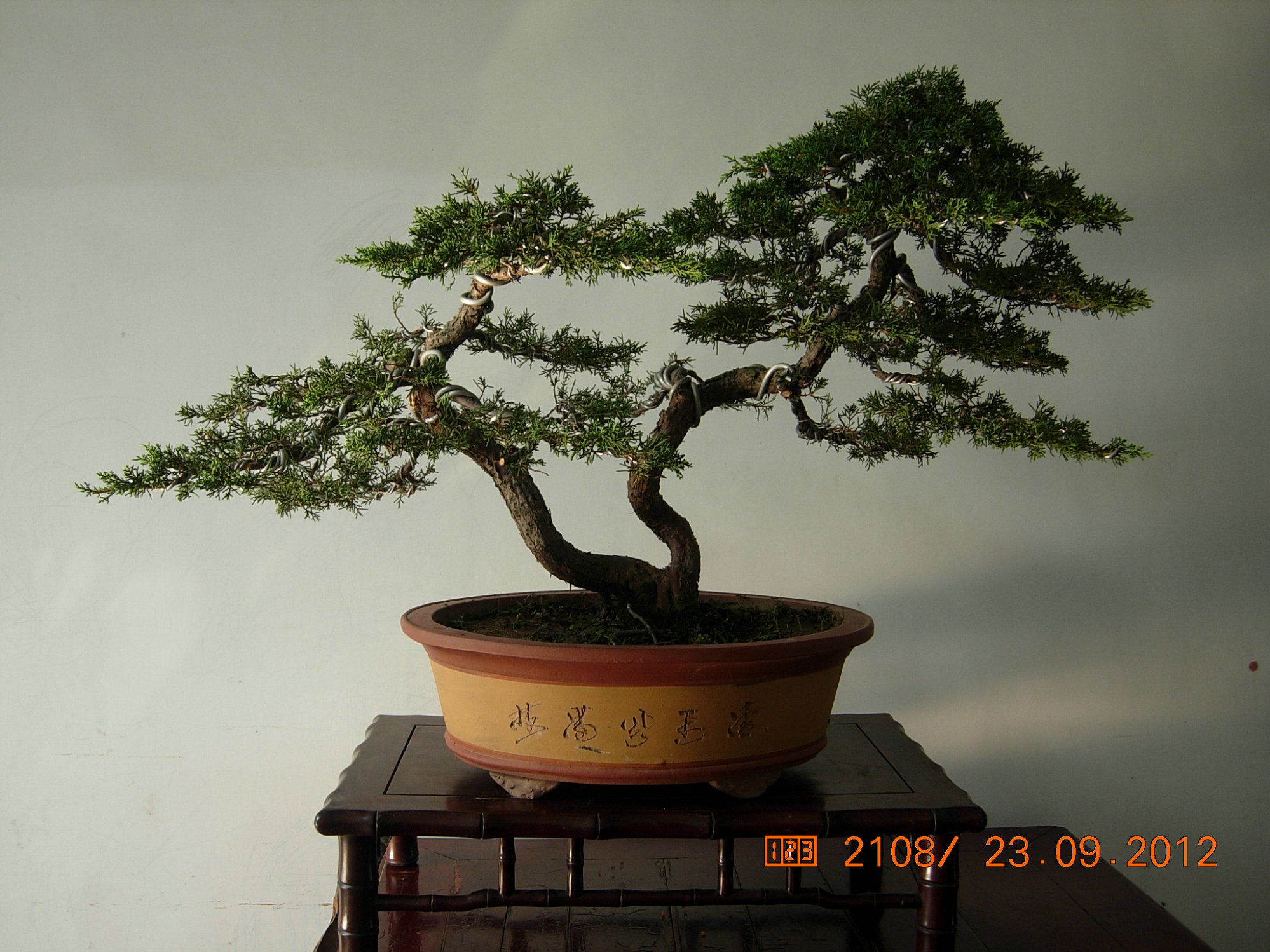 DSCN6338.JPG