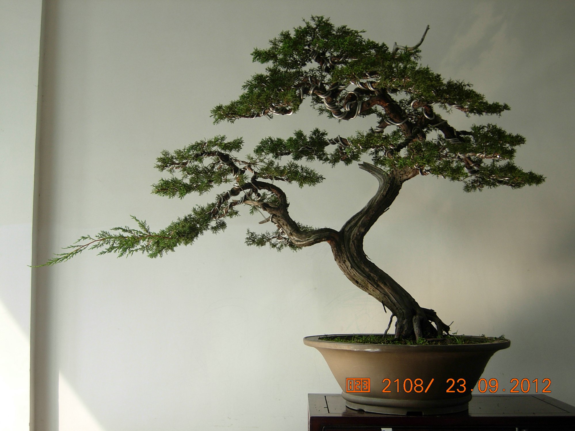 DSCN6349.JPG