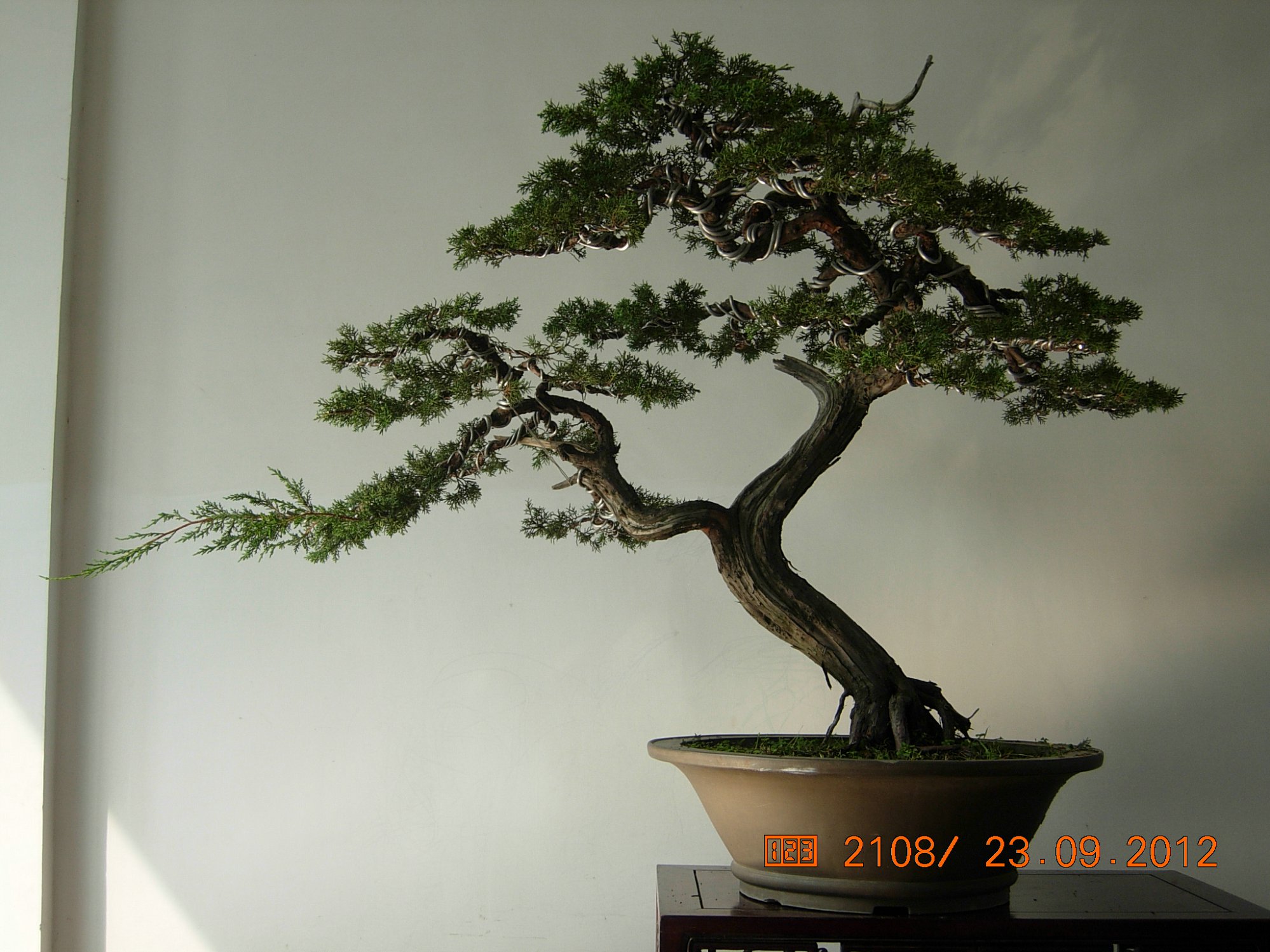 DSCN6350.JPG