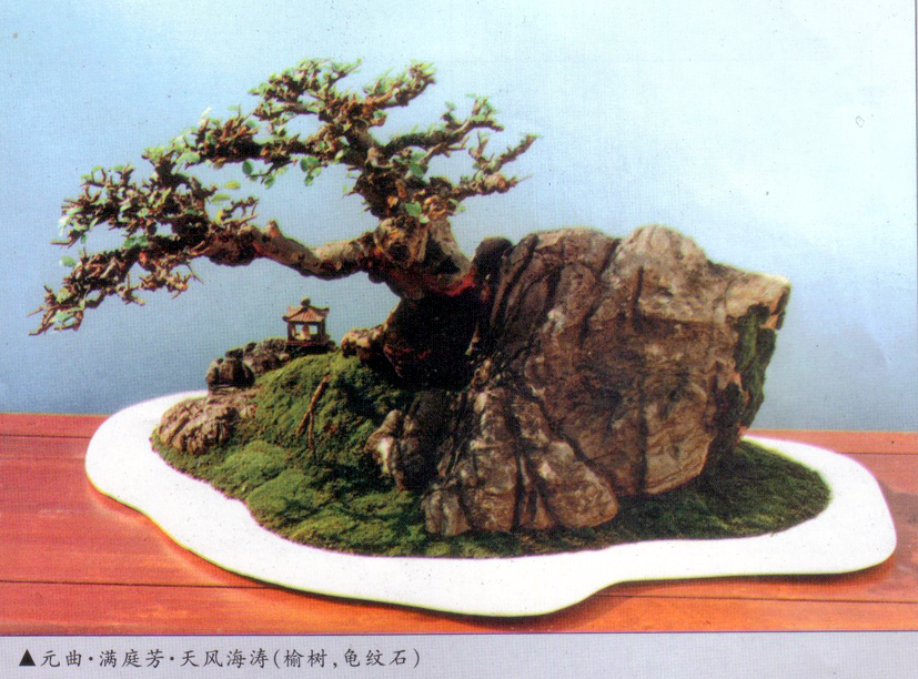 -纣 ʯ.jpg