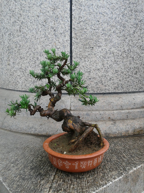 2013-06-08 12.18.04.jpg