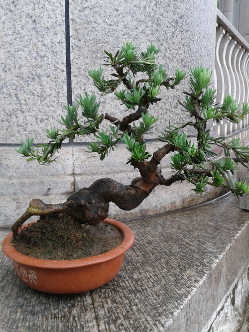 2013-06-08 12.18.38.jpg