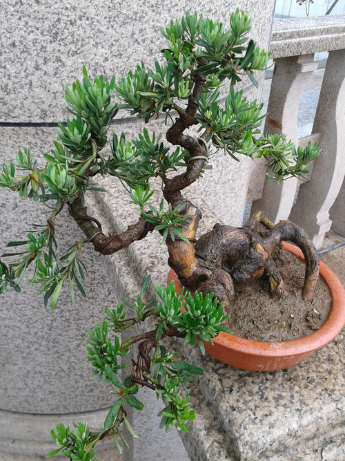 2013-06-08 12.19.41.jpg