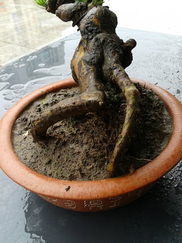 2013-06-08 12.26.22.jpg