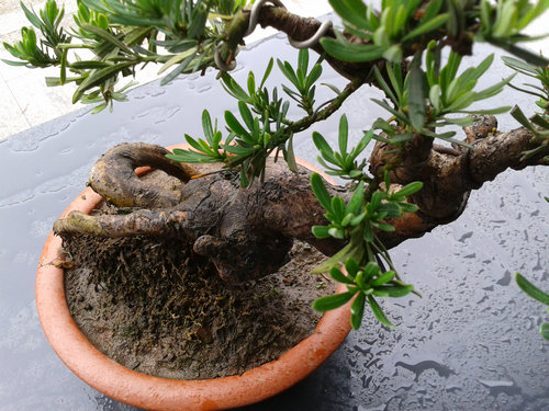 2013-06-08 12.25.55.jpg