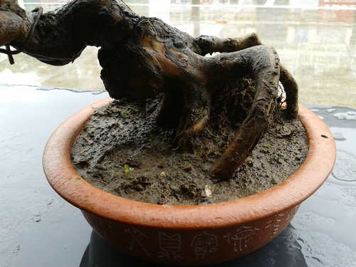 2013-06-08 12.26.51.jpg