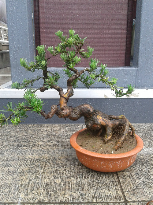 2013-06-08 12.13.56.jpg