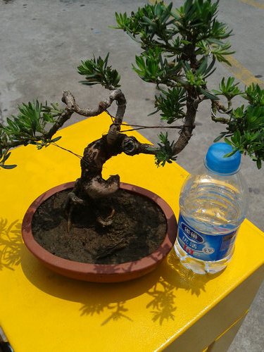 2013-06-06 12.42.55.jpg