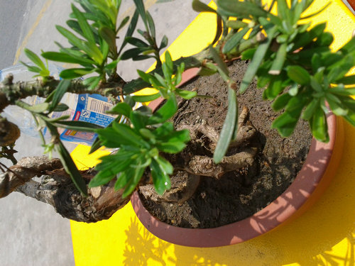 2013-06-06 12.44.49.jpg