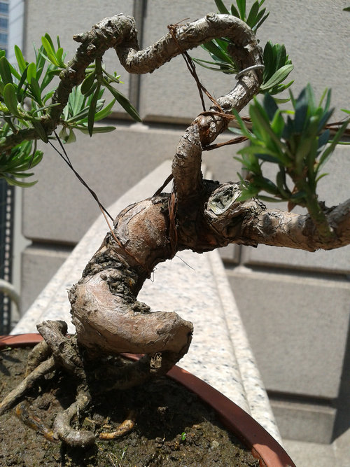 2013-06-06 12.48.37.jpg