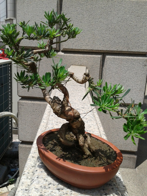 2013-06-06 12.49.41.jpg