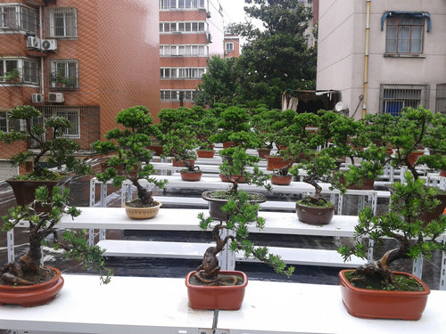 2013-06-07 14.13.39.jpg