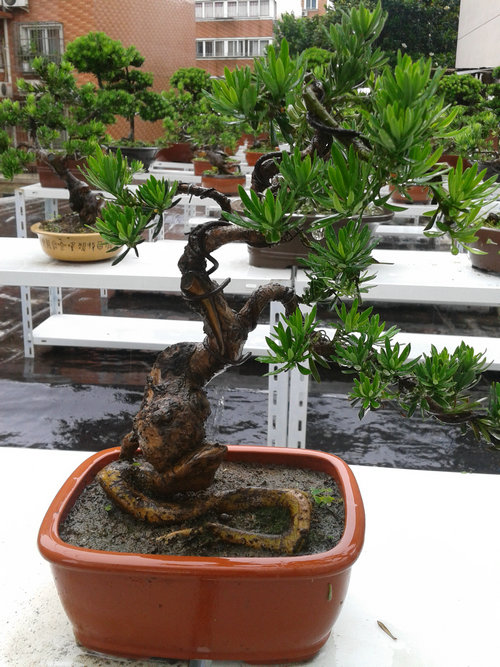 2013-06-07 14.14.40.jpg