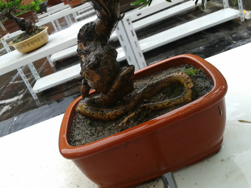 2013-06-07 14.15.17.jpg