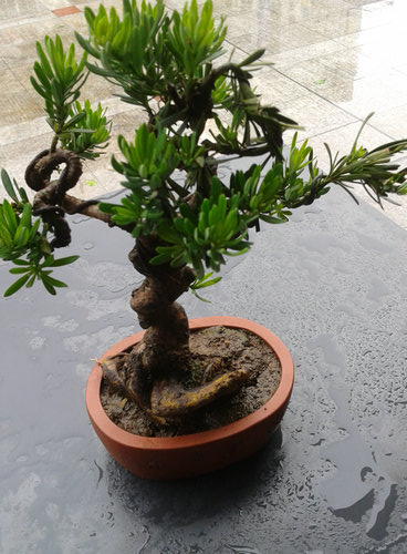 2013-06-08 12.36.02.jpg