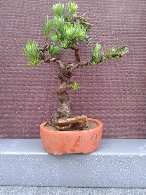 2013-06-08 12.36.46.jpg