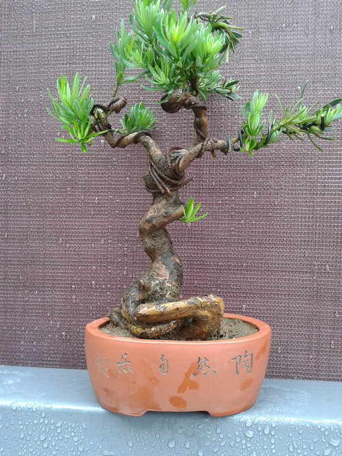 2013-06-08 12.37.03.jpg