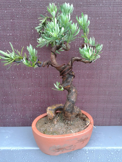 2013-06-08 12.37.56.jpg