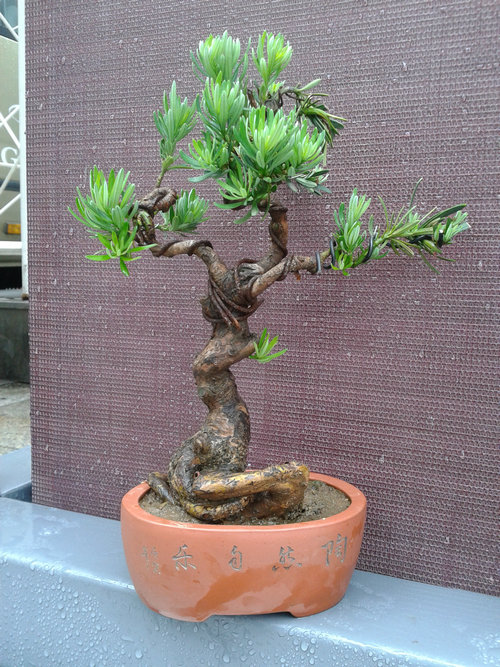 2013-06-08 12.38.23.jpg