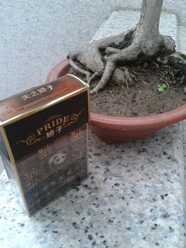 2013-06-06 17.42.59.jpg