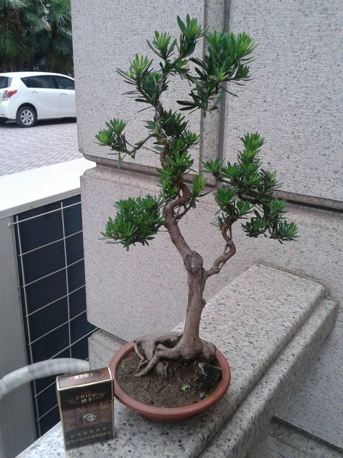 2013-06-06 17.42.45.jpg