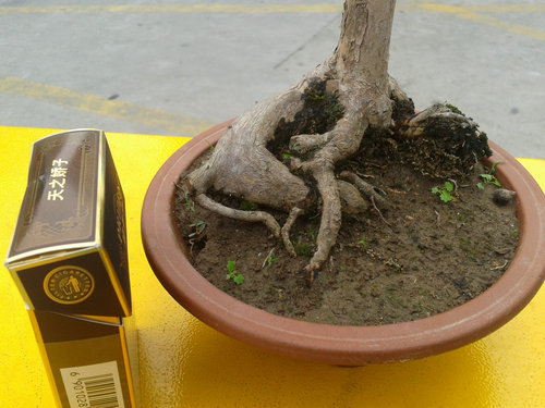 2013-06-06 17.39.56.jpg