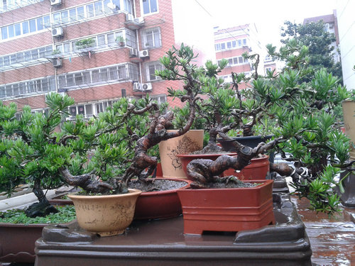 2013-06-07 14.22.20.jpg