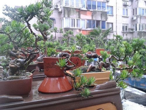 2013-06-07 14.23.43.jpg