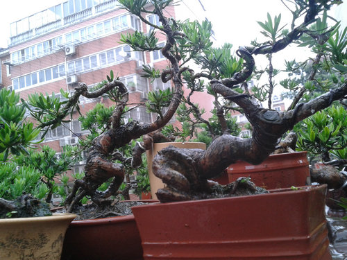 2013-06-07 14.22.34.jpg