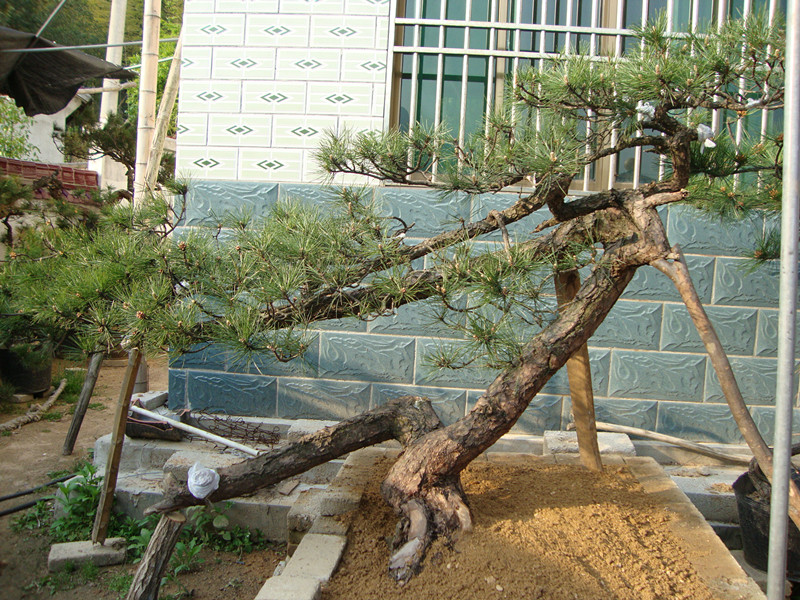 DSC01055_.jpg