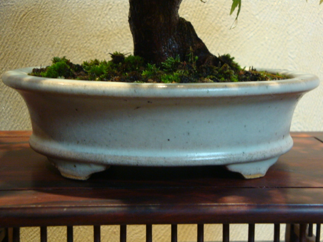 DSC04067.JPG