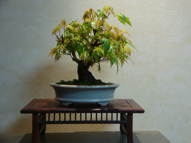 DSC04064.JPG