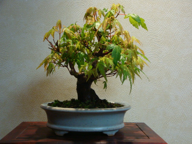 DSC04065.JPG