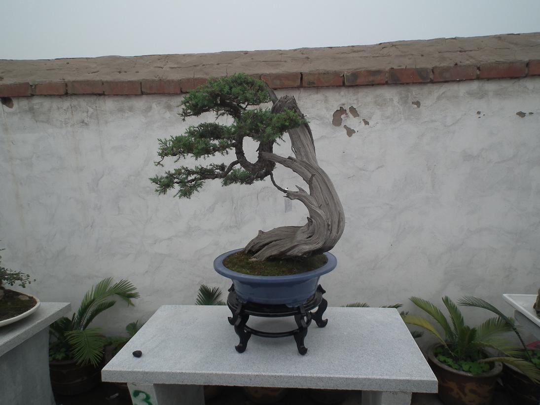 DSCF6309.JPG