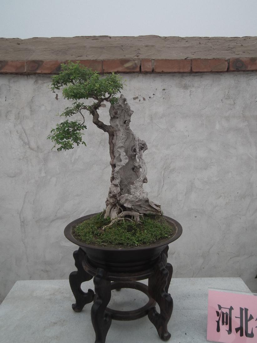 DSCF6310.JPG