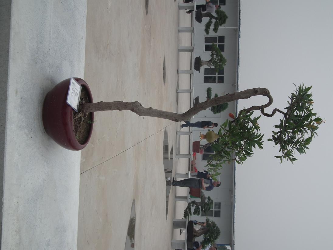 DSCF6313.JPG