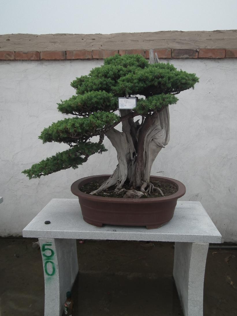 DSCF6315.JPG