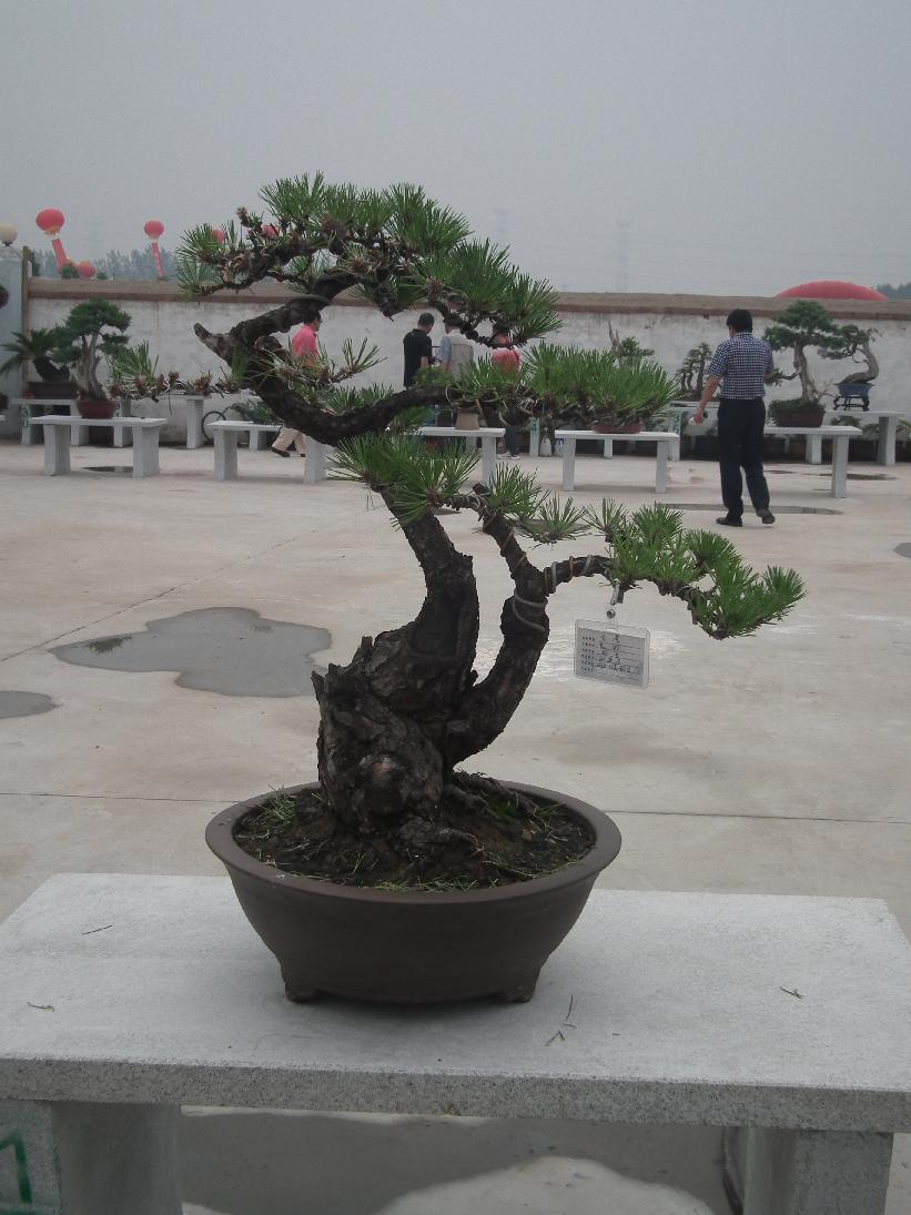 DSCF6317.JPG