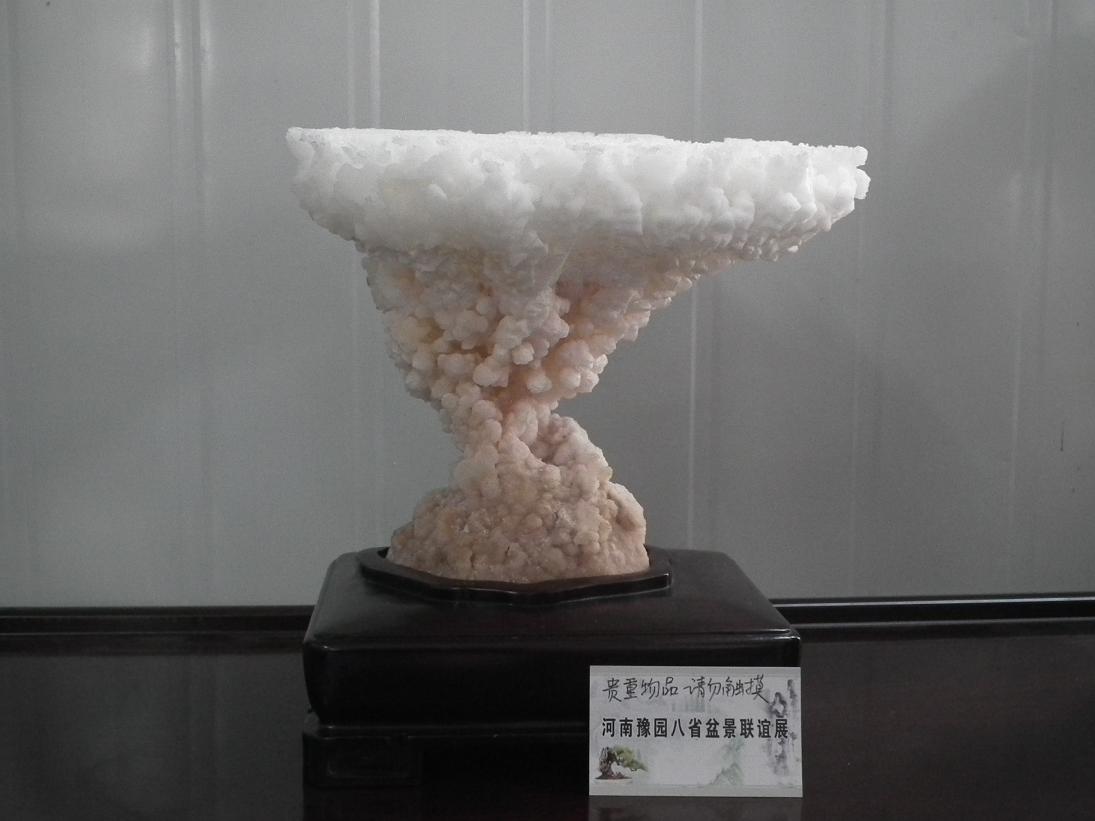 DSCF6320.JPG