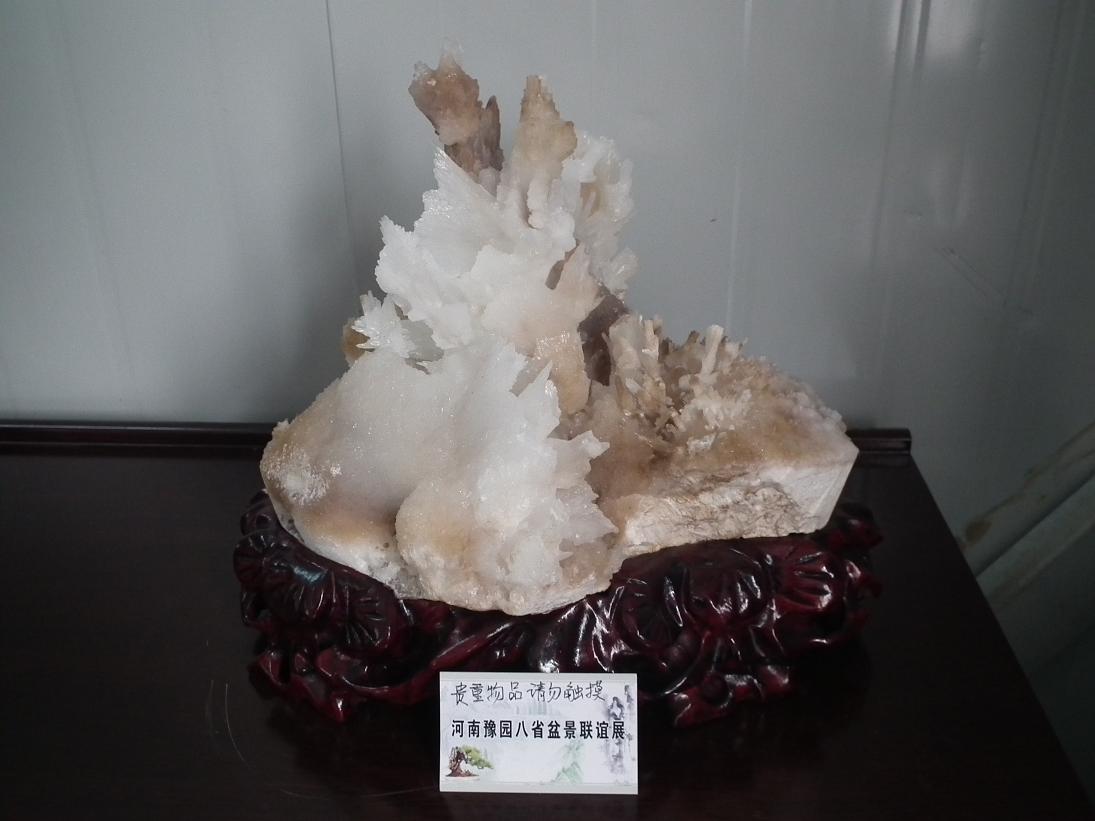 DSCF6321.JPG