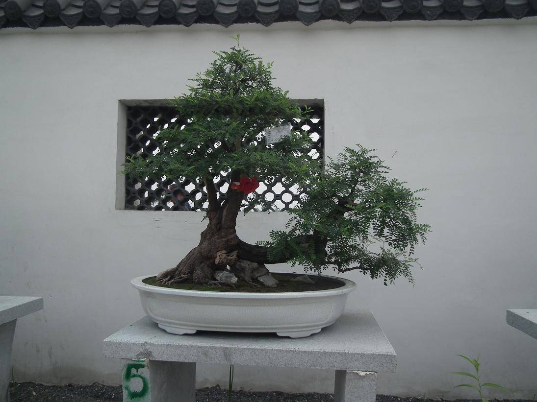DSCF6327.JPG