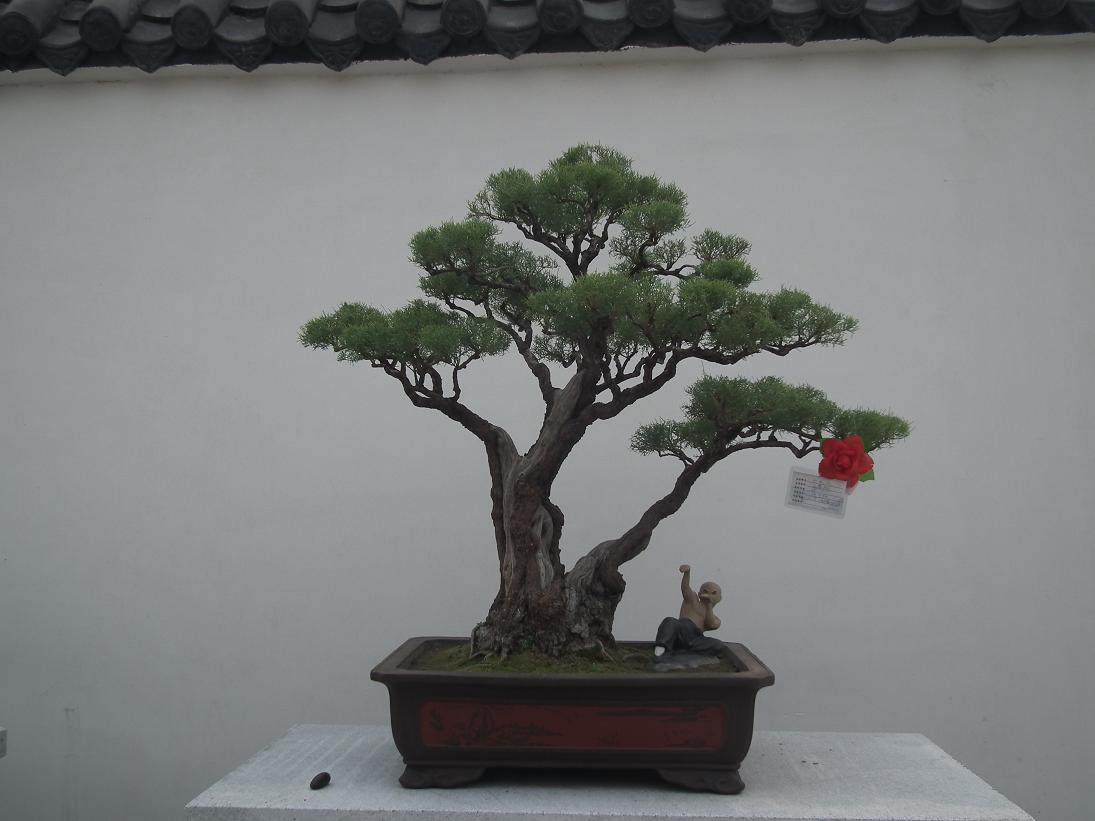 DSCF6329.JPG