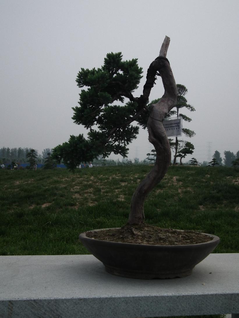 DSCF6335.JPG